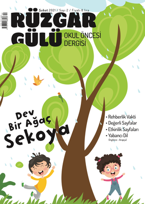 RÜZGAR GÜLÜ